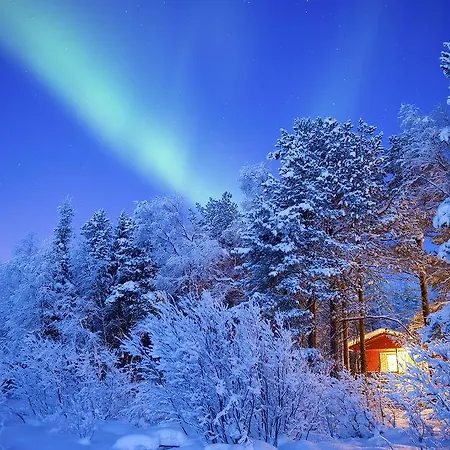 Harriniva Adventure Muonio