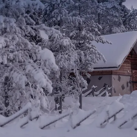 Harriniva Adventure *